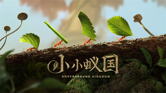 《小小蚁国》游戏评测 选题新颖、玩法老套的策略游戏