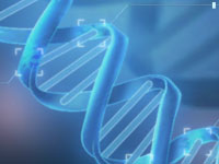 魔法禁书目录人物角色技能加点通用技巧