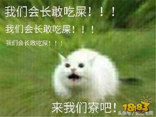 用生命在创作 盘点那些搞怪的阴阳寮招人广告